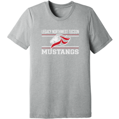 Unisex Triblend Short Sleeve Tee